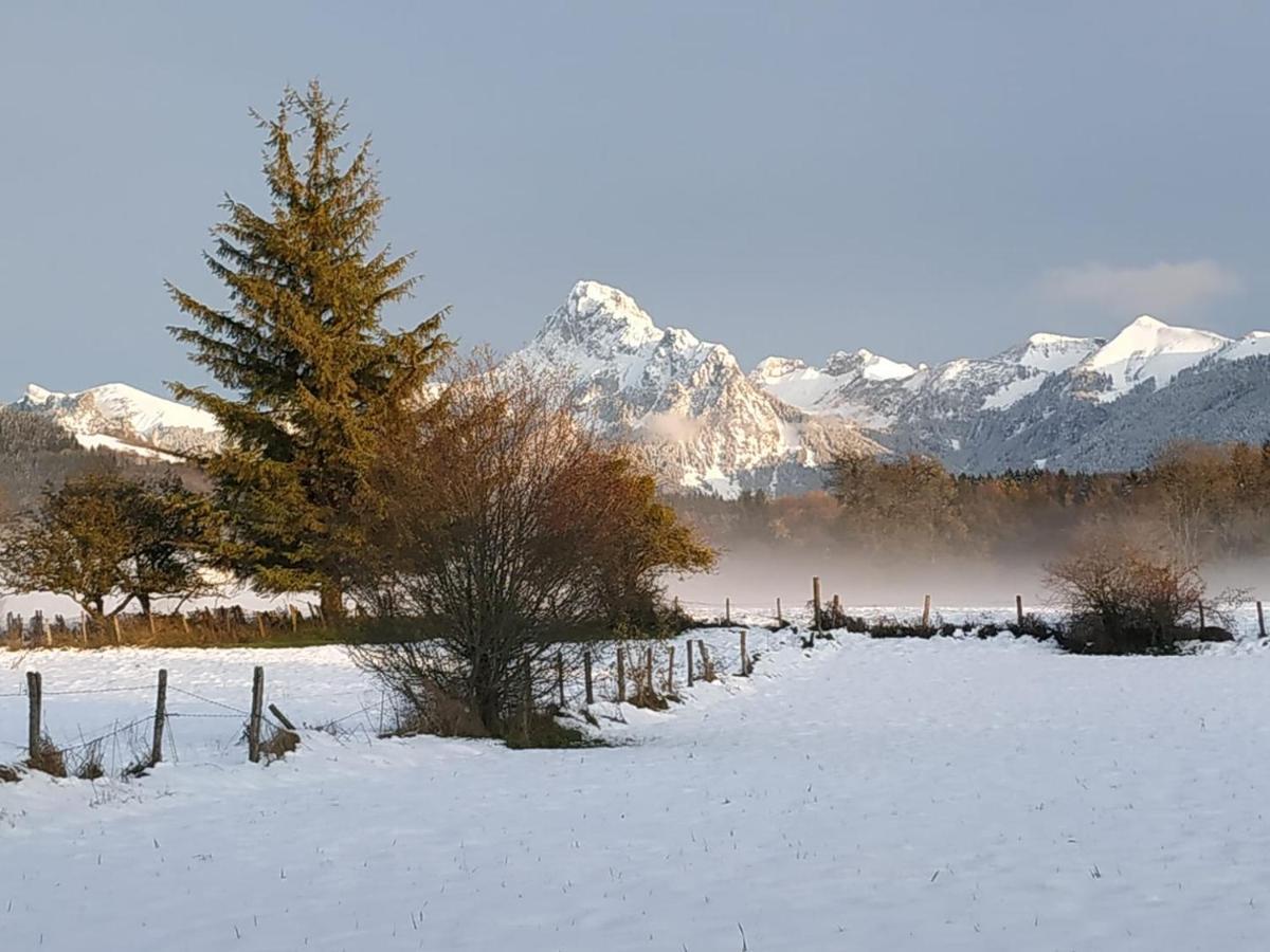 Maison D'Hotes Des Bassins D'Oche Saint-Paul-en-Chablais Luaran gambar